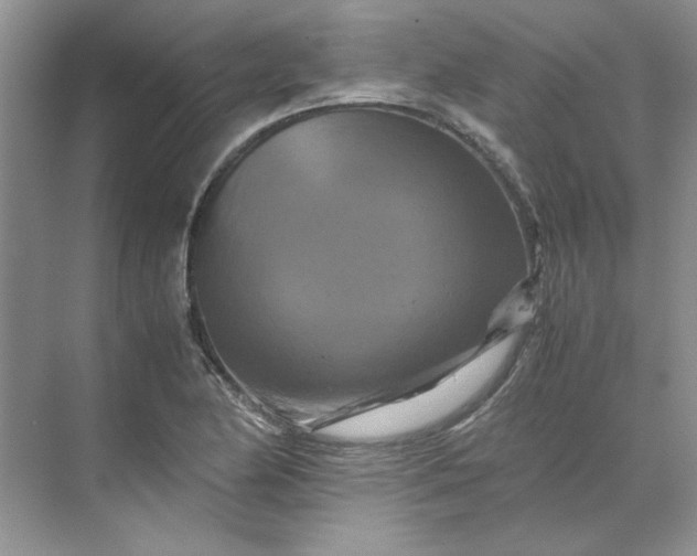 X0000070191174200606091525