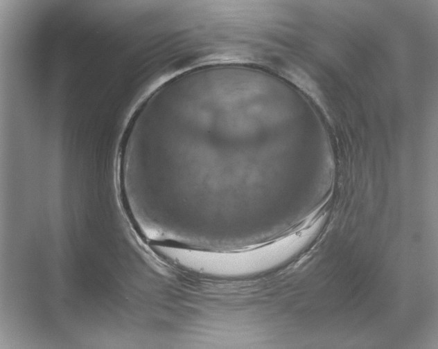 X0000070191179200606091525