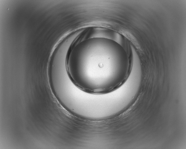 X0000070191180200606091525