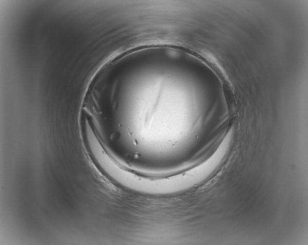 X0000070191181200606091525