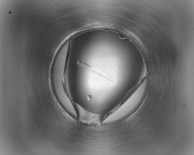 X0000070191182200606091525