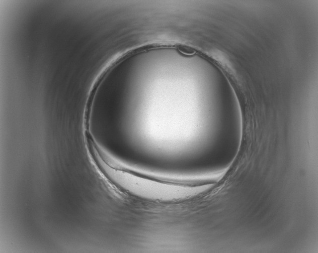 X0000070191183200606091525