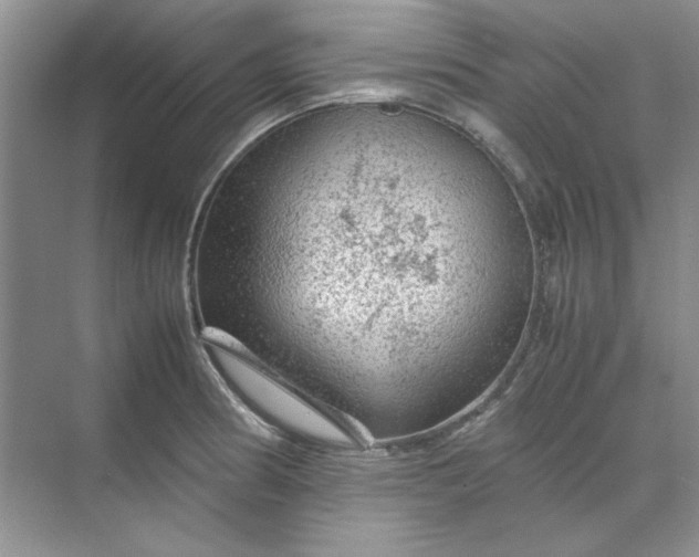 X0000070191186200606091524