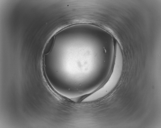 X0000070191187200606091524