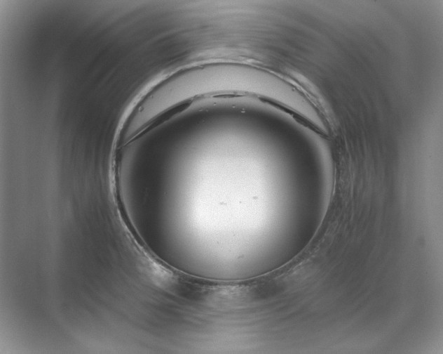 X0000070191188200606091524