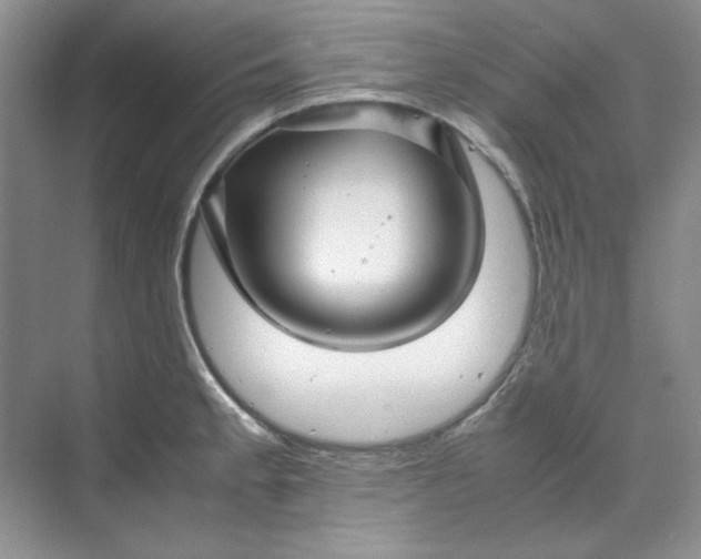 X0000070191189200606091524