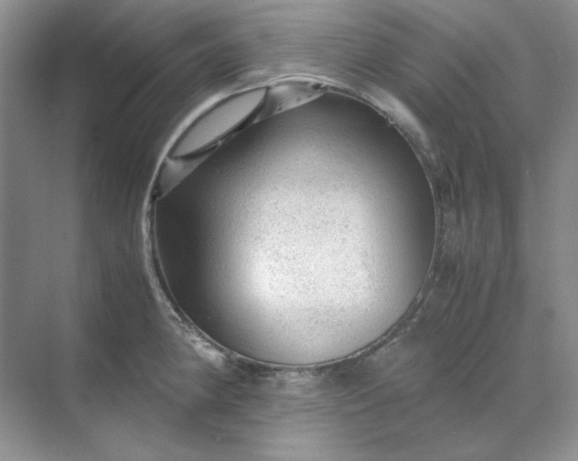 X0000070191190200606091524