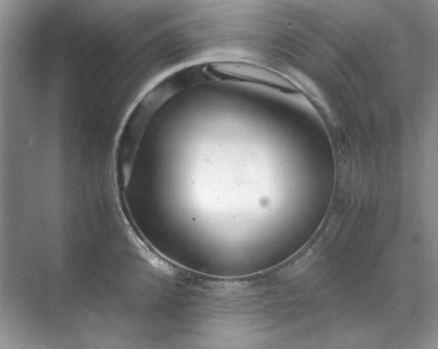 X0000070191192200606091524