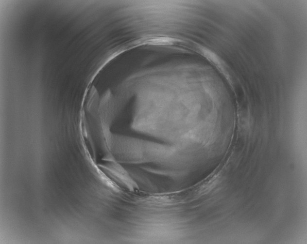 X0000070191194200606091524