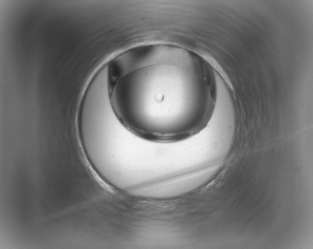 X0000070191197200606091524