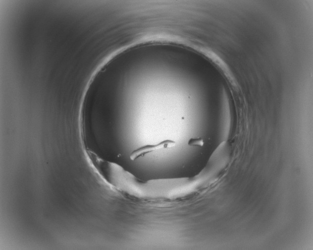 X0000070191199200606091524