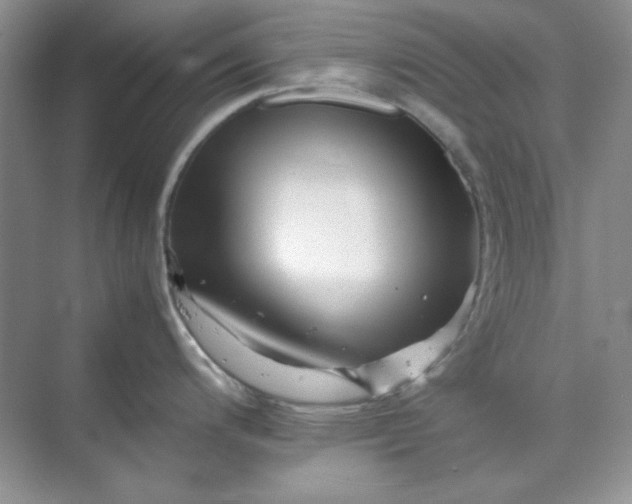 X0000070191200200606091524