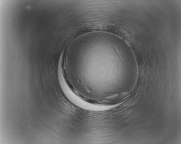 X0000070191202200606091523