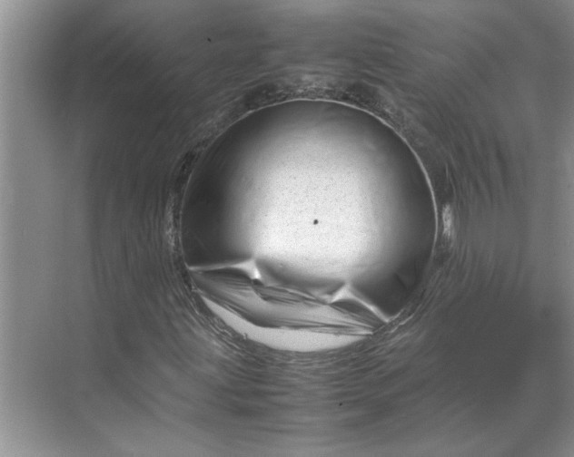 X0000070191203200606091523