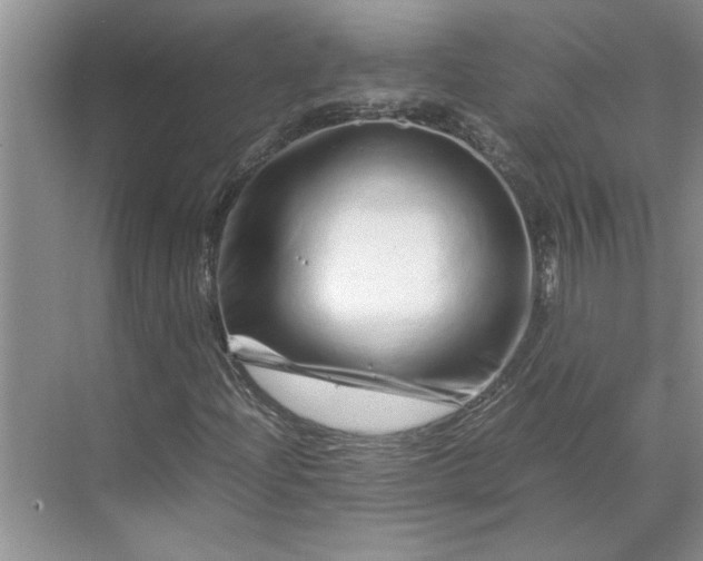 X0000070191204200606091523