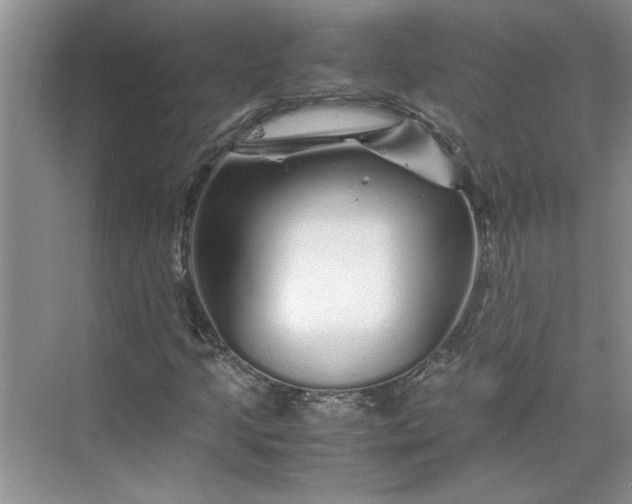 X0000070191205200606091524