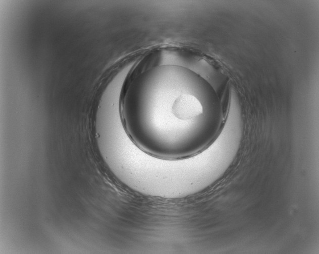 X0000070191206200606091524