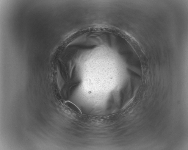 X0000070191207200606091524