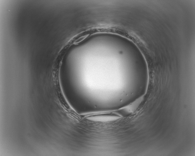 X0000070191208200606091524