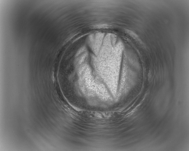 X0000070191209200606091524