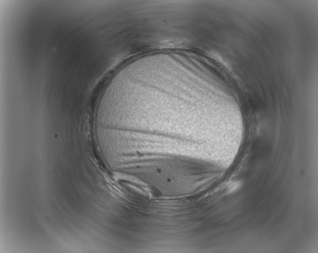 X0000070191211200606091524