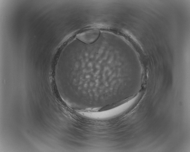 X0000070191213200606091524