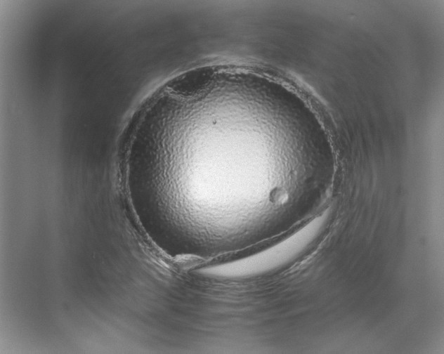 X0000070191215200606091524