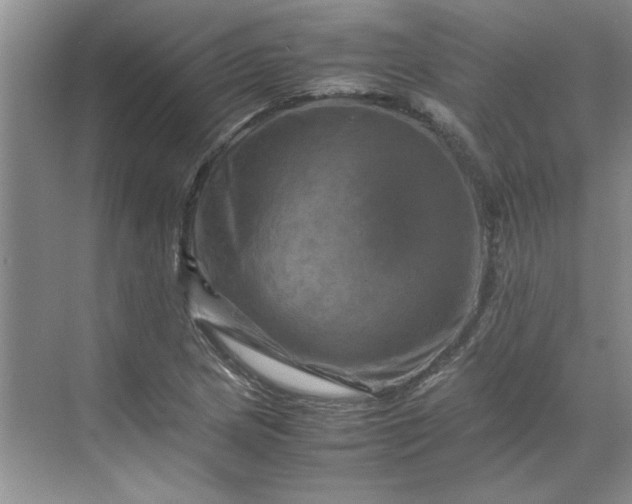 X0000070191217200606091524