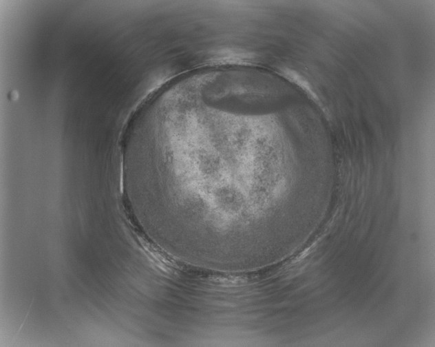 X0000070191219200606091524