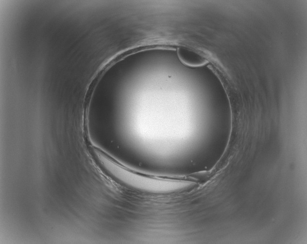 X0000070191220200606091524