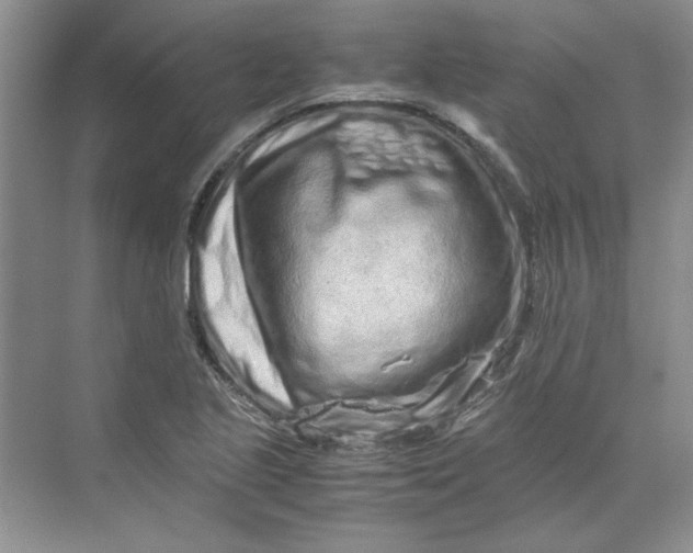 X0000070191221200606091524