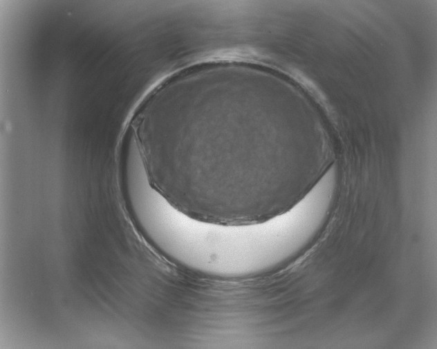 X0000070191224200606091524