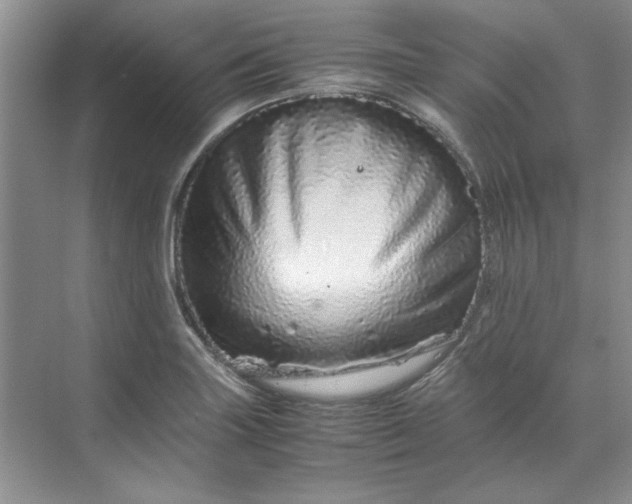 X0000070191227200606091524