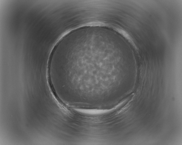 X0000070191229200606091524