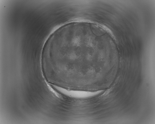 X0000070191231200606091524