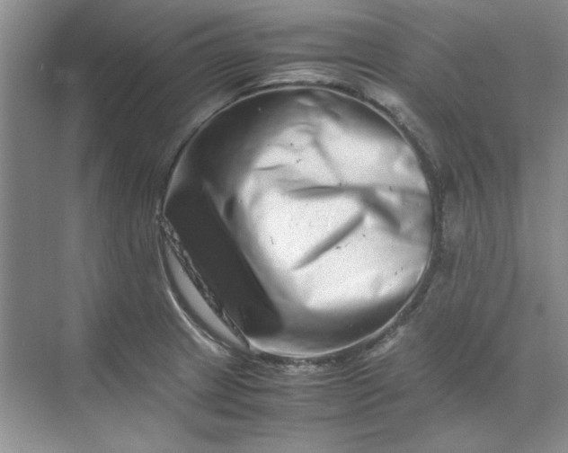 X0000070191233200606091524