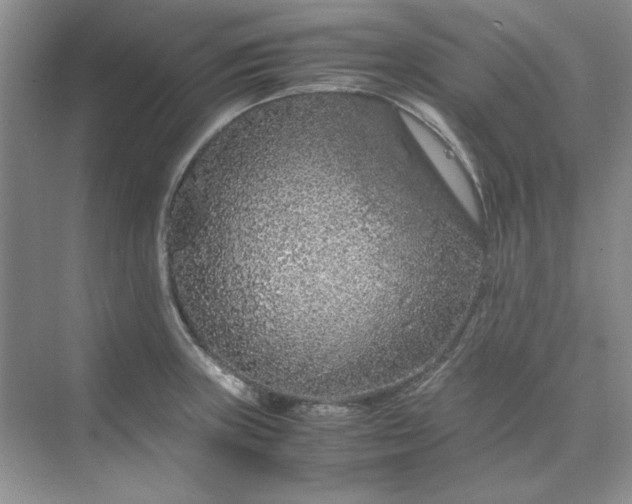 X0000070191235200606091524