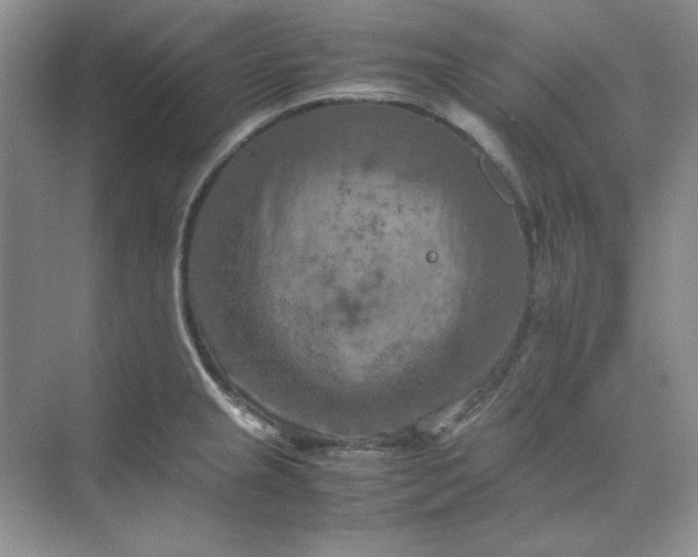 X0000070191237200606091524