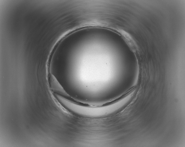 X0000070191238200606091524