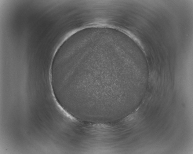 X0000070191239200606091524