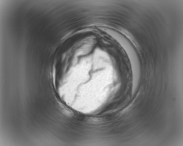 X0000070191241200606091524