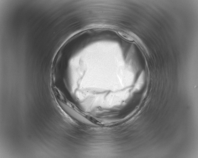 X0000070191244200606091524