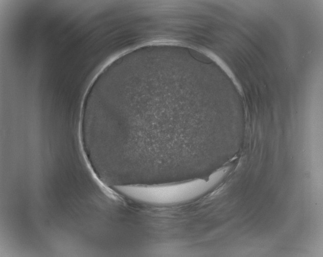 X0000070191245200606091524