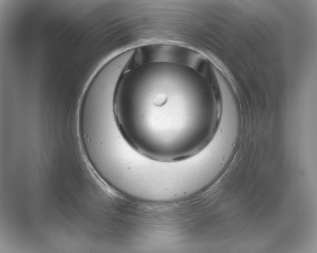 X0000070191246200606091524