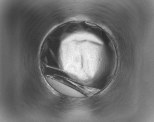 X0000070191248200606091524