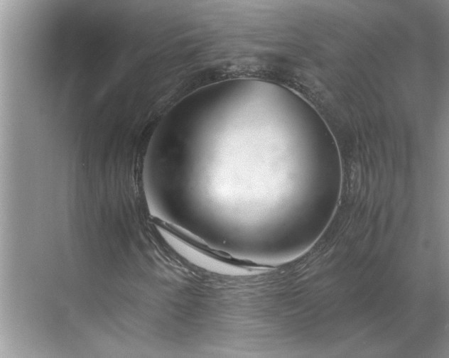 X0000070191250200606091523