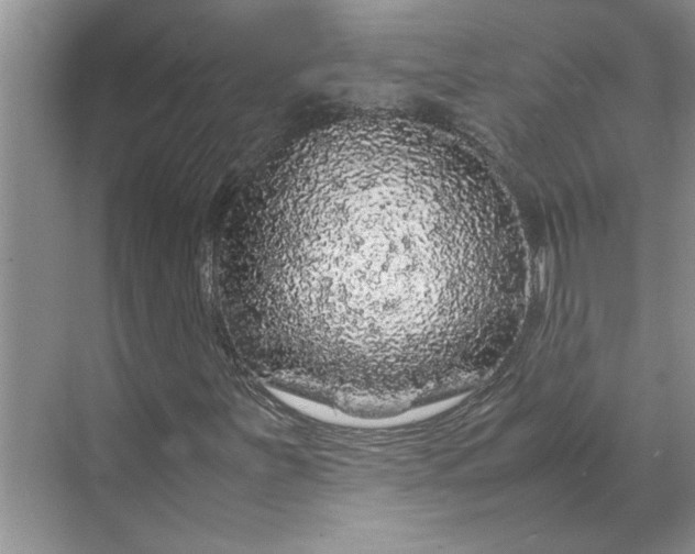 X0000070191251200606091523