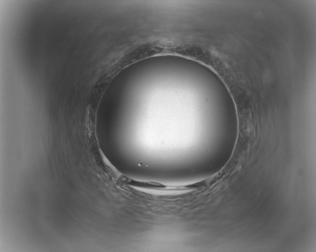 X0000070191253200606091523