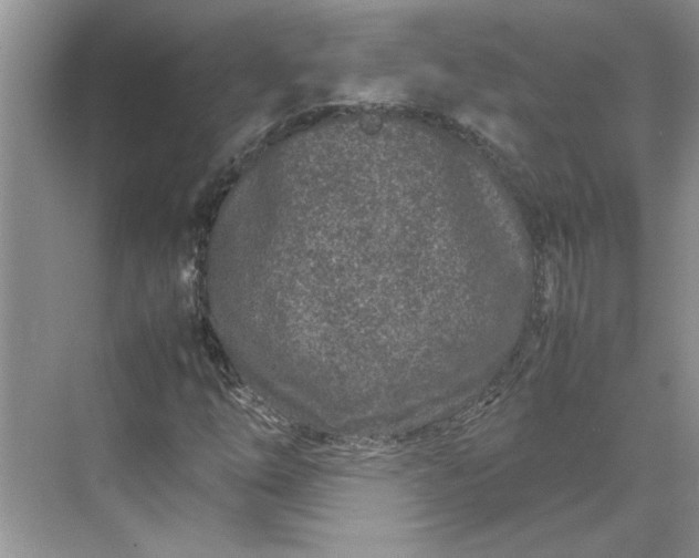 X0000070191254200606091523