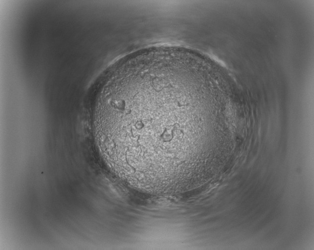 X0000070191255200606091523